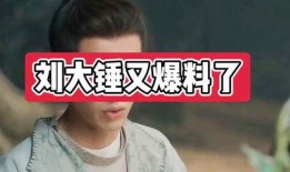 刘大锤最新爆料直播全部,最新爆料内容大汇总